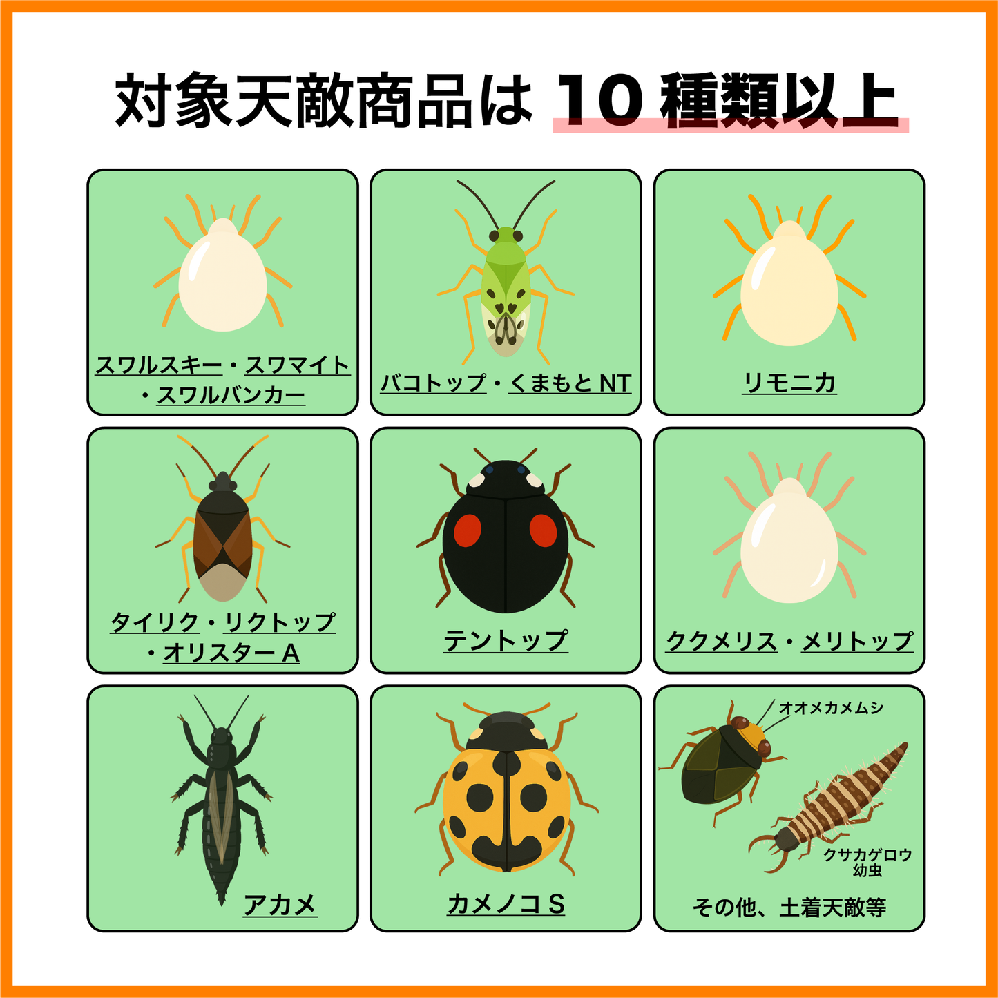 天敵のごちそう 500mL (2~3a ハウス 1棟分)|天敵農薬の定着を促進し、防除効果を高める強力サポート資材
