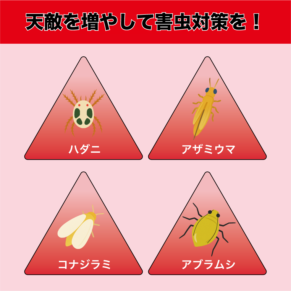 天敵のごちそう 果樹用1,000mL (5~7a 1/2反) ｜散布するだけで天敵定着！天敵農薬の定着を促進し、防除効果を高める強力サポート資材 bioEgg 生物農薬 天敵 定着 IPM 農業 スジコナ 減農薬 有機栽培 特別栽培 果樹 ナシ ブドウ オウトウ リンゴ ミカン