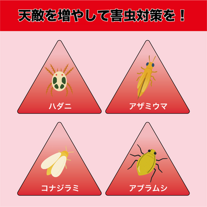 天敵のごちそう 果樹用1,000mL (5~7a 1/2反) ｜散布するだけで天敵定着！天敵農薬の定着を促進し、防除効果を高める強力サポート資材 bioEgg 生物農薬 天敵 定着 IPM 農業 スジコナ 減農薬 有機栽培 特別栽培 果樹 ナシ ブドウ オウトウ リンゴ ミカン