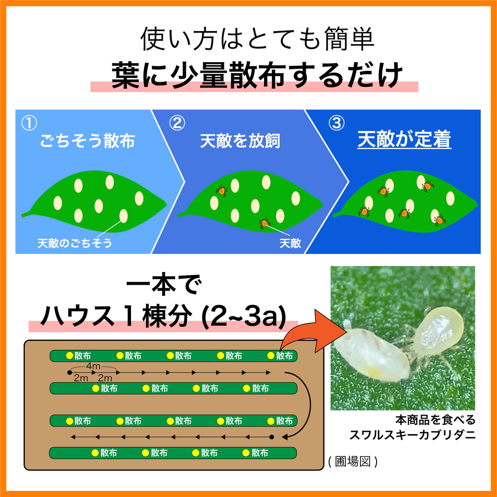 天敵のごちそう 500mL (2~3a ハウス 1棟分)｜天敵農薬の定着を促進し、防除効果を高める強力サポート資材 – ビオエッグショップ