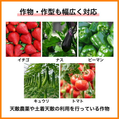 天敵のごちそう 500mL (2~3a ハウス 1棟分)｜天敵農薬の定着を促進し、防除効果を高める強力サポート資材